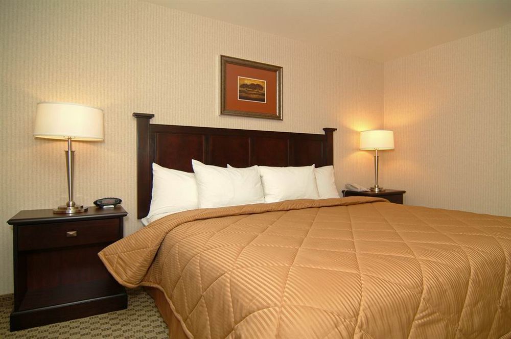 Comfort & Henderson - Hotel Las Vegas